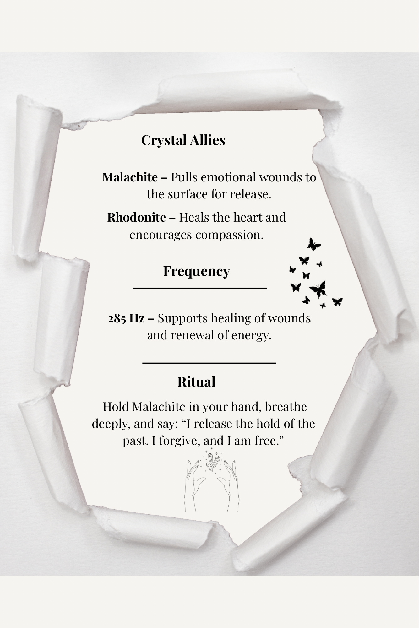 THE COCOON : From Darkness to Divine Light